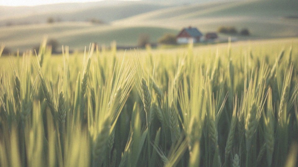 W jaki sposób biotyna wpływa na syntezę keratyny?