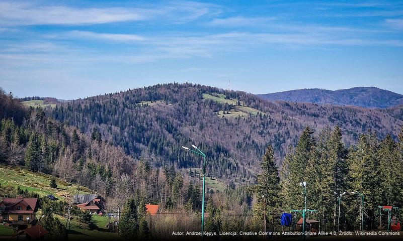 Kotarz (Beskid Śląski)