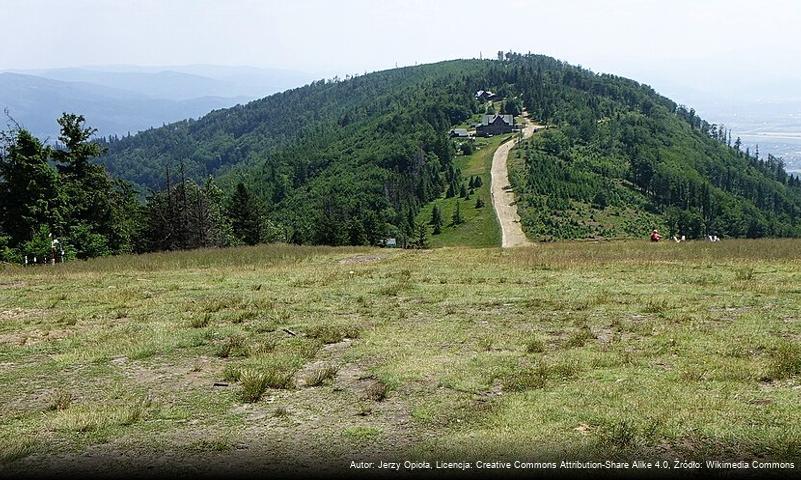 Magura (Beskid Śląski)