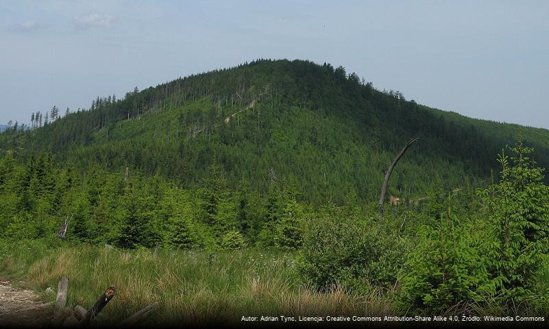 Malinów (szczyt)